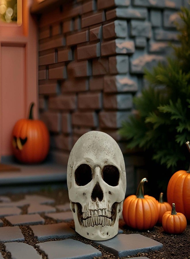 PlentifulHome Realistic Resin Human Skull Decor - Life-Size Halloween Skeleton Head with Removable Jaw, Macabre Fake Skull Prop for Home, Office, or Haunted Display - Image 5